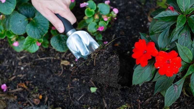Cambiar el pH del suelo en jardín