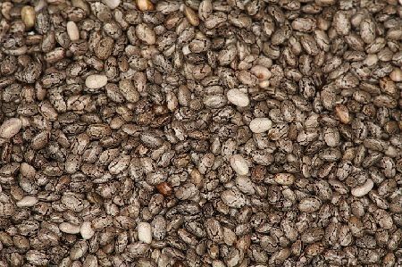 Semillas comestibles de Chía
