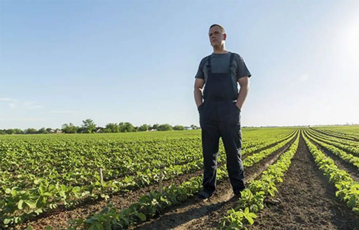 Mantener un cuadero de campo